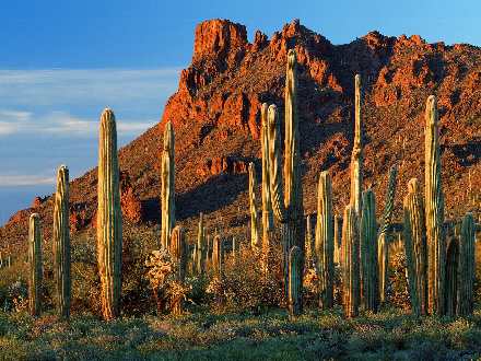 firma budowlana Pila