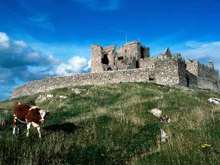 sklep internetowy torebki damskie