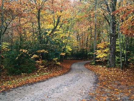 usługi ogrodnicze Piła
