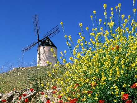 duże rozmiary Poznań
