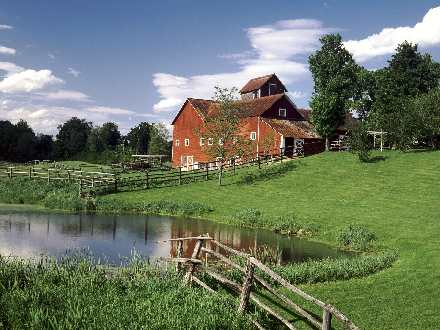 nowoczesne tapety ścienne