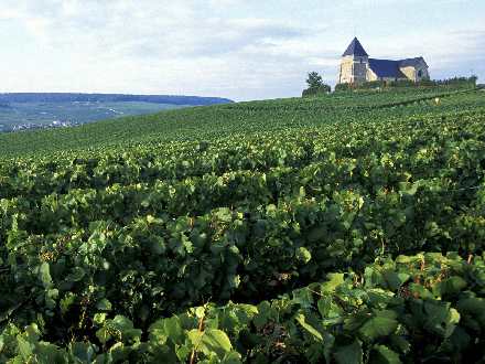 Piła firmy remontowe