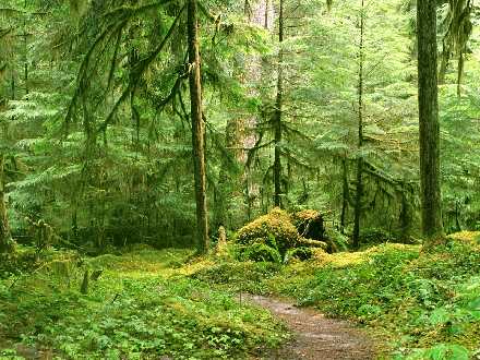 strony internetowe Piła