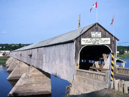 torebki damskie skórzane