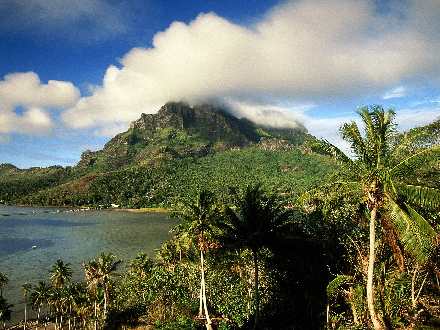 firma budowlana Piła