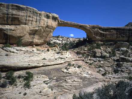 strony internetowe Piła