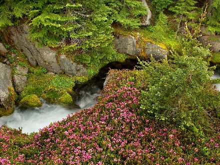 nowoczesne tapety ścienne