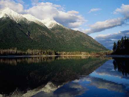 firmy remontowe Piła