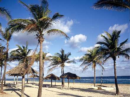 Trzcianka usługi remontowe