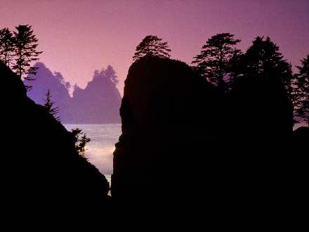 tapety ścienne winylowe