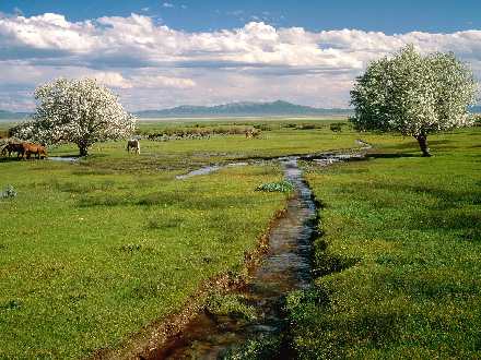 firma budowlana Pila