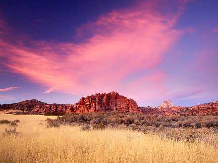 sklep internetowy z torebkami damskimi