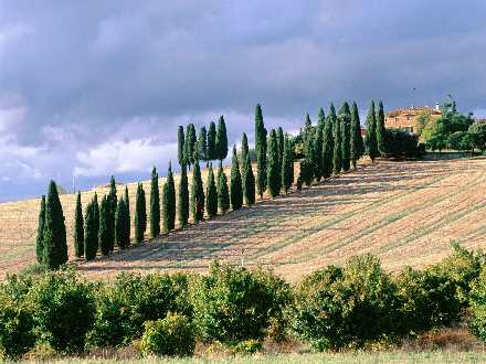biuro rachunkowe Piła