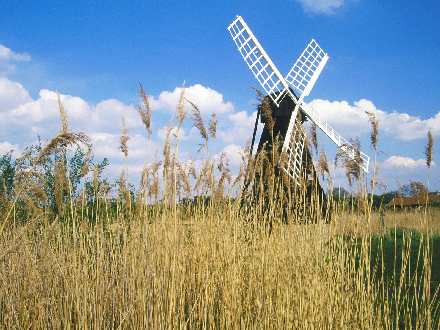 torebki damskie skórzane