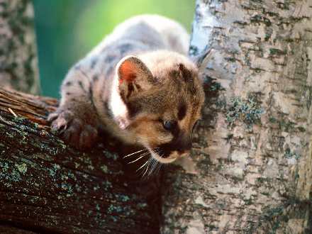 remonty mieszkan Pila