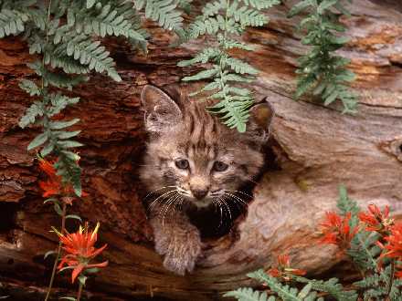 biuro podróży Piła