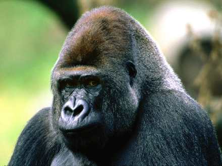 remonty mieszkań Piła