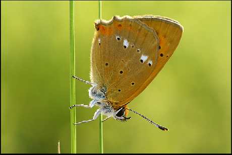 tapety ścienne nowoczesne