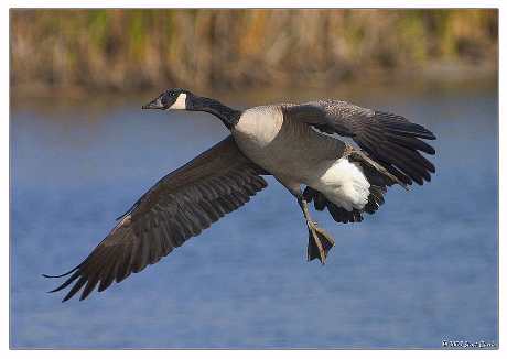 biura podróży Piła tanio