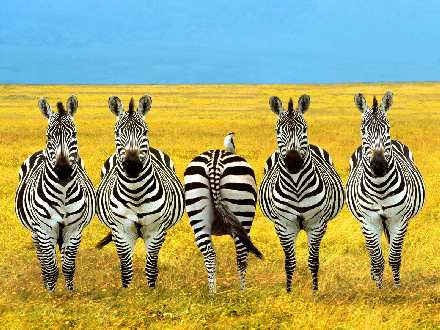 biura podróży Piła tanio