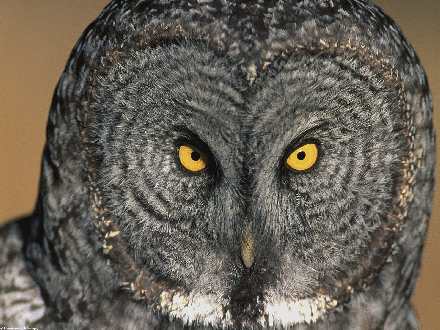 firma remontowa Pila