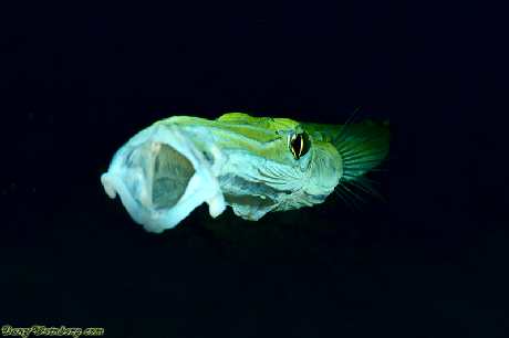 Piła biuro podróży