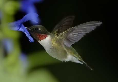 modne torebki damskie