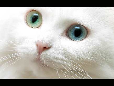 torebki skórzane sklep internetowy