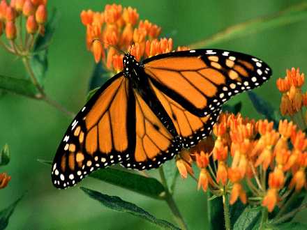 biura podrozy w Pile