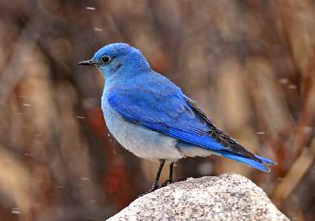 Piła usługi remontowe