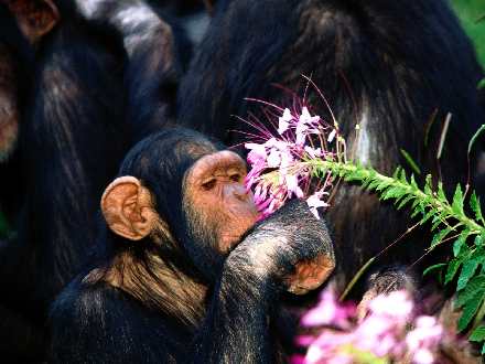 Piła firma remontowa