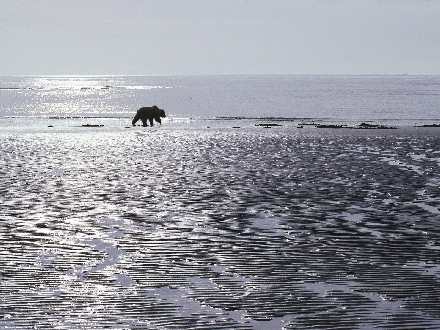 firmy budowlane Pila