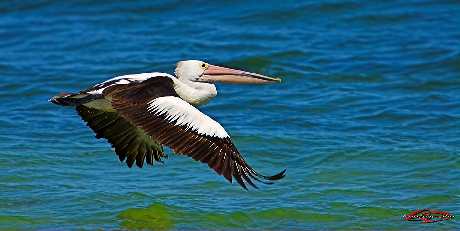 odbiór domu Poznań