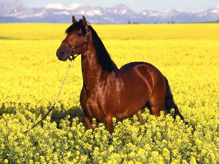 Piła biuro podróży