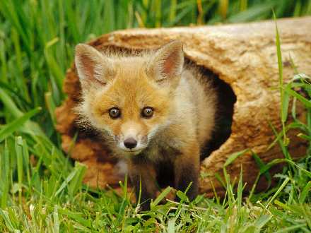 torebki damskie sklep internetowy