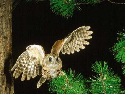 firmy remontowe w Pile