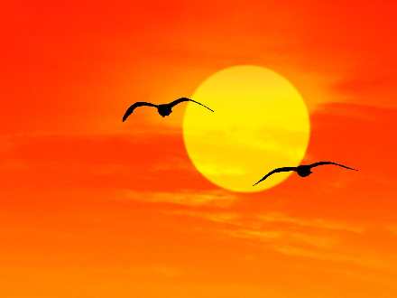 hurtownia odzieży używanej