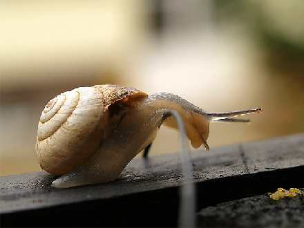 Piła biuro podróży