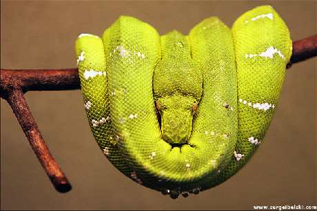 Piła usługi remontowe