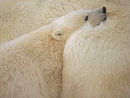 pozycjonowanie Piła