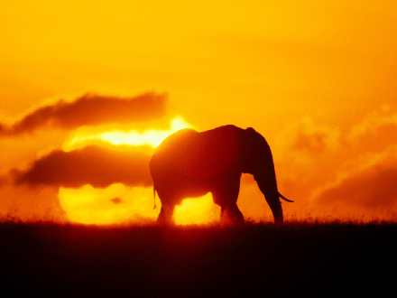 firma budowlana Pila