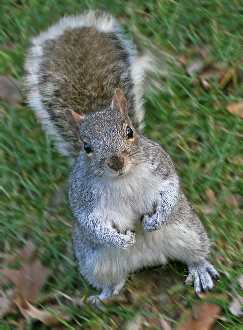 remonty mieszkan Pila