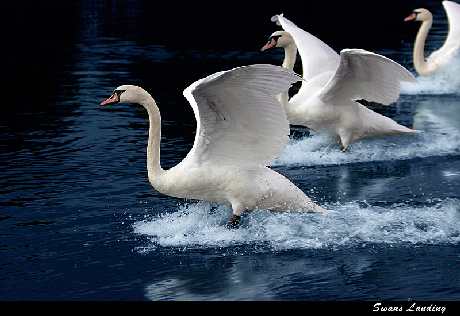 remonty mieszkan Pila