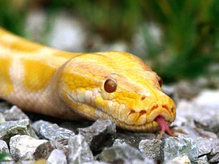 hurtownia odzieży używanej