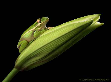 firma budowlana Piła