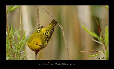 biuro podróży Piła