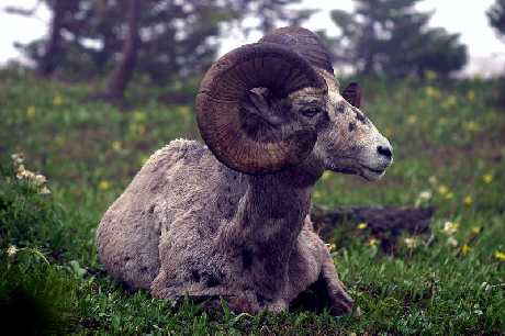 remonty mieszkan Pila