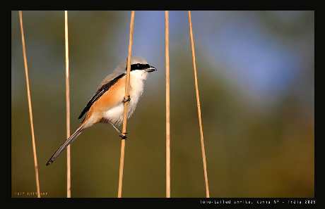 firmy remontowe w Pile