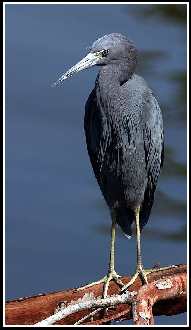 usługi remontowe Piła usługi remontowe Piła