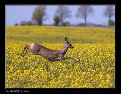 Piła remont mieszkania